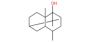 4,8a,9,9-Tetramethyldecahydro-1,6-methanonaphthalen-1-ol